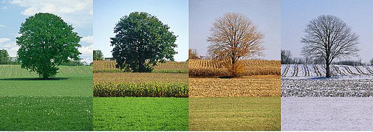 《TCG卡牌商店模拟器》登陆Steam 体验卡牌经营